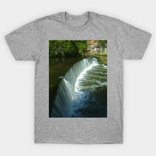 River Almond Weir T-Shirt